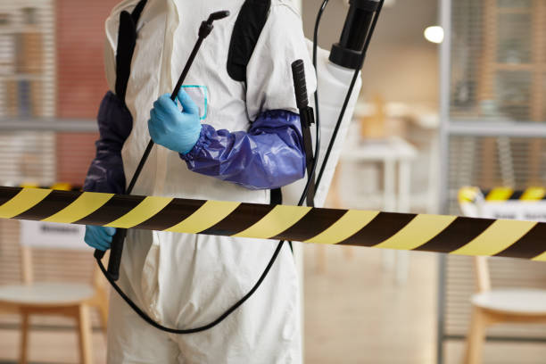 Professional Sewage Cleanup technician working in Nashville, IL
